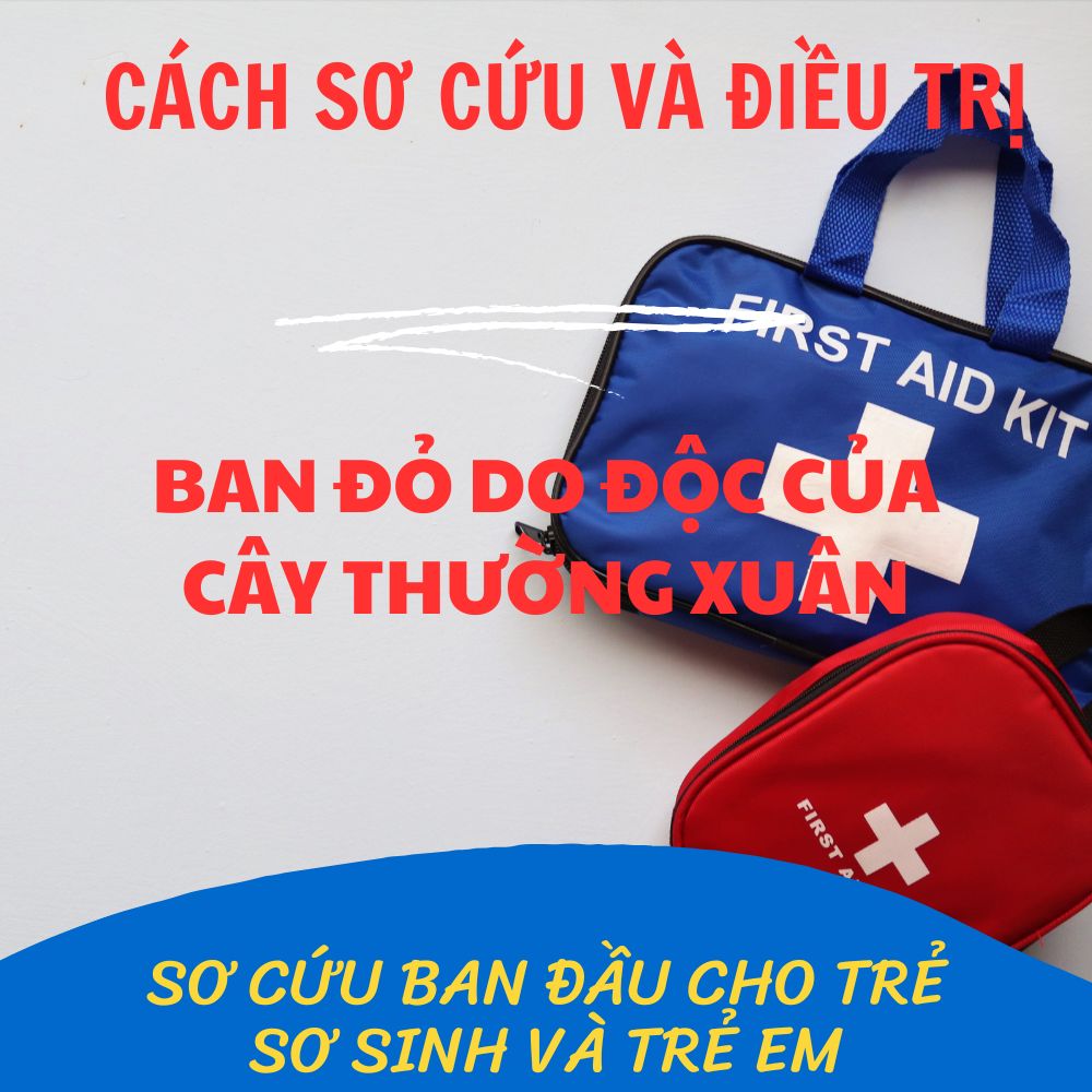 Cách Sơ Cứu Và Điều Trị Phát Ban Do Cây Thường Xuân Độc